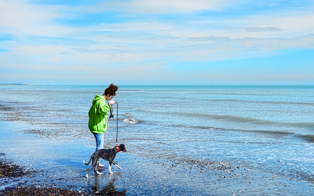 Wczasy nad morzem z psem – gdzie na wczasy i wakacje z psem?
