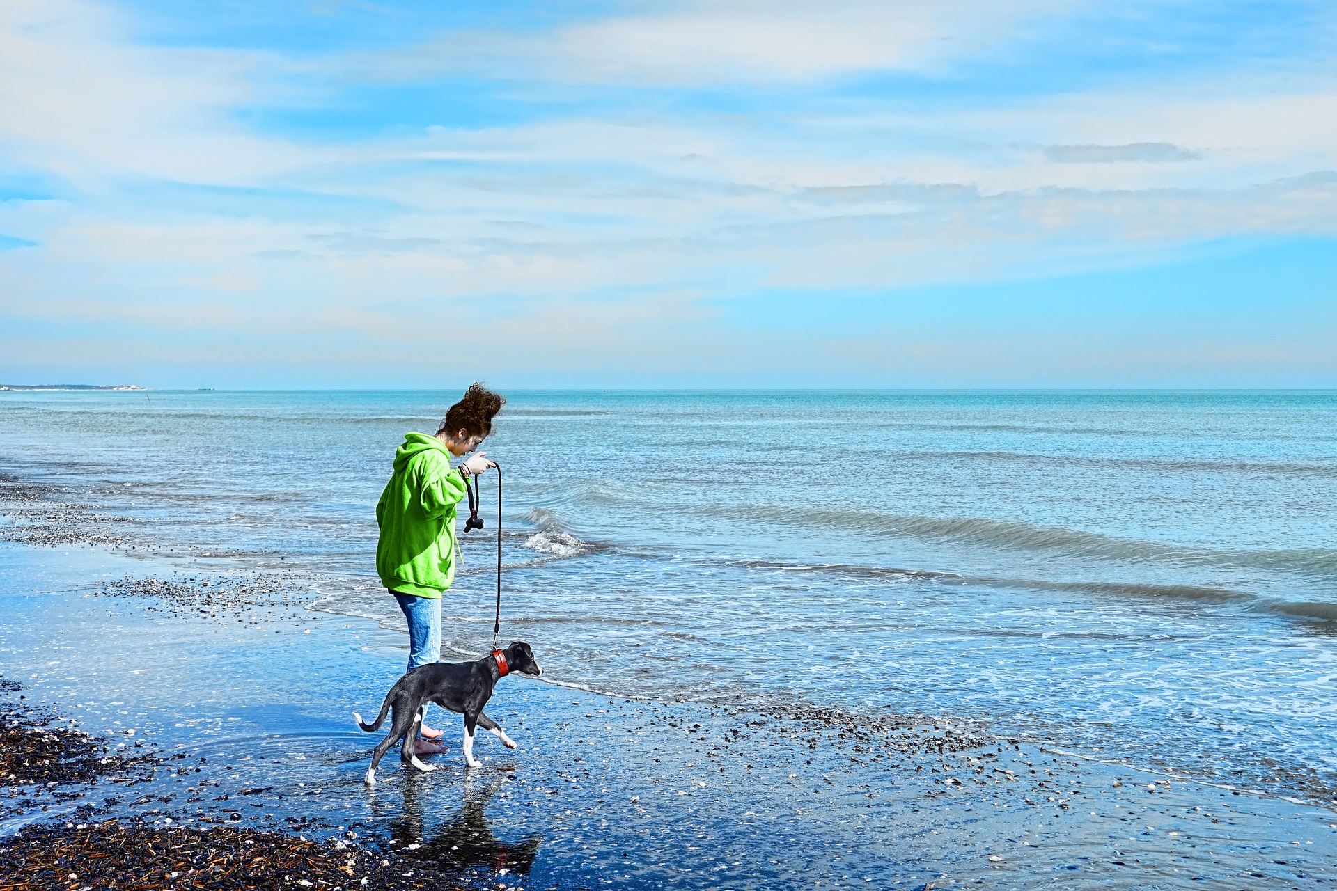 Wczasy nad morzem z psem – gdzie na wczasy i wakacje z psem?